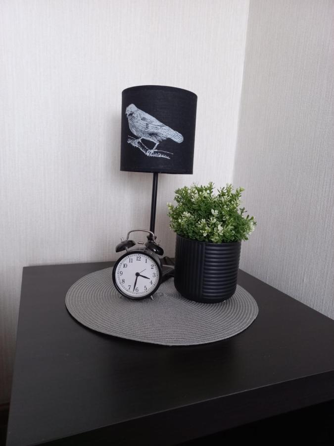 Vienibas Apartment 다우가프필스 외부 사진